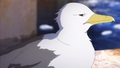 Corvus.jpg