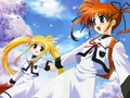Thumbnail for version as of 23:17, 16 April 2015